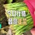 昌黎万亩韭菜产地，韭菜跟头粗，耐运输，支持定做各种包装