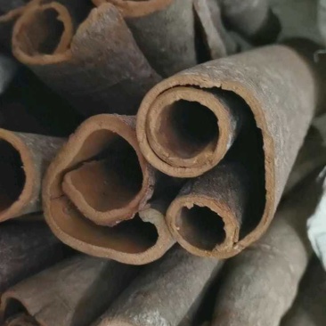 广西精品桂皮桂通大通中通小通产地直供量大稳定