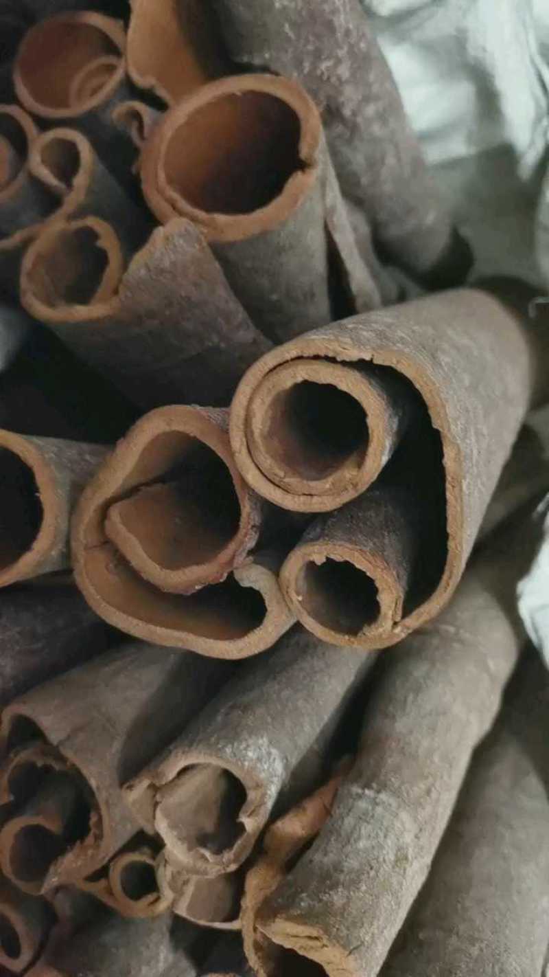 广西精品桂皮桂通大通中通小通产地直供量大稳定