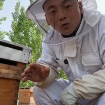 优质蜂蜜