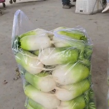 水洗青萝卜六毛，正在打包中