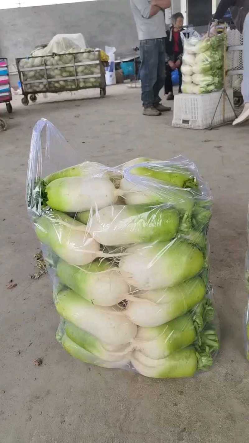 水洗青萝卜六毛，正在打包中