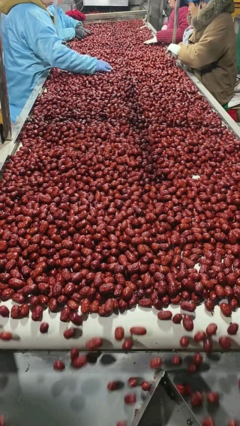 新疆若羌灰枣一级水洗100g小包装