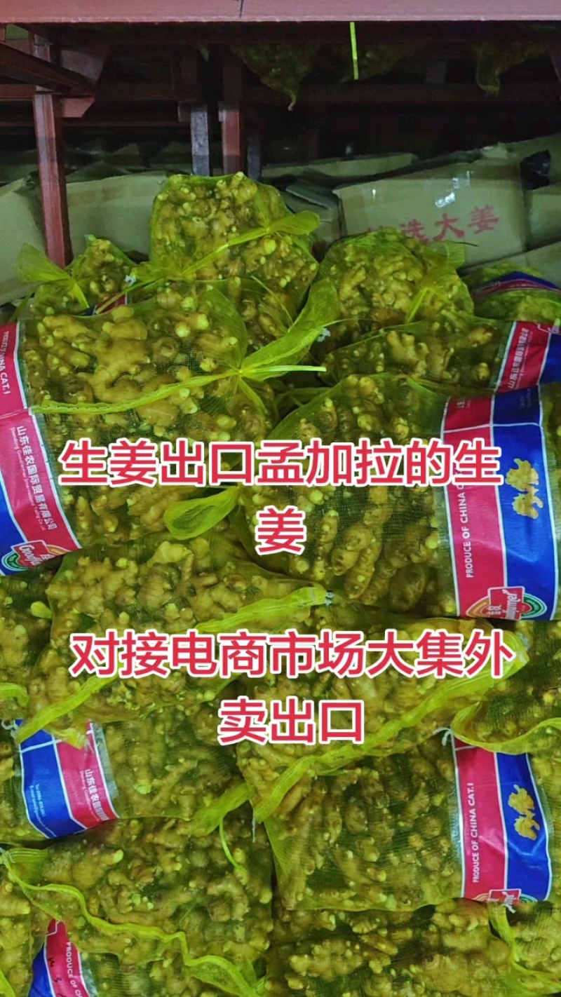 山东出口生姜基地，专业做出口贸易中东/欧美/俄罗斯