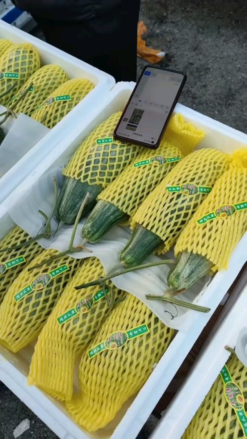 羊角蜜甜瓜，源头产地货源充足对接支持市场电商商超批发。