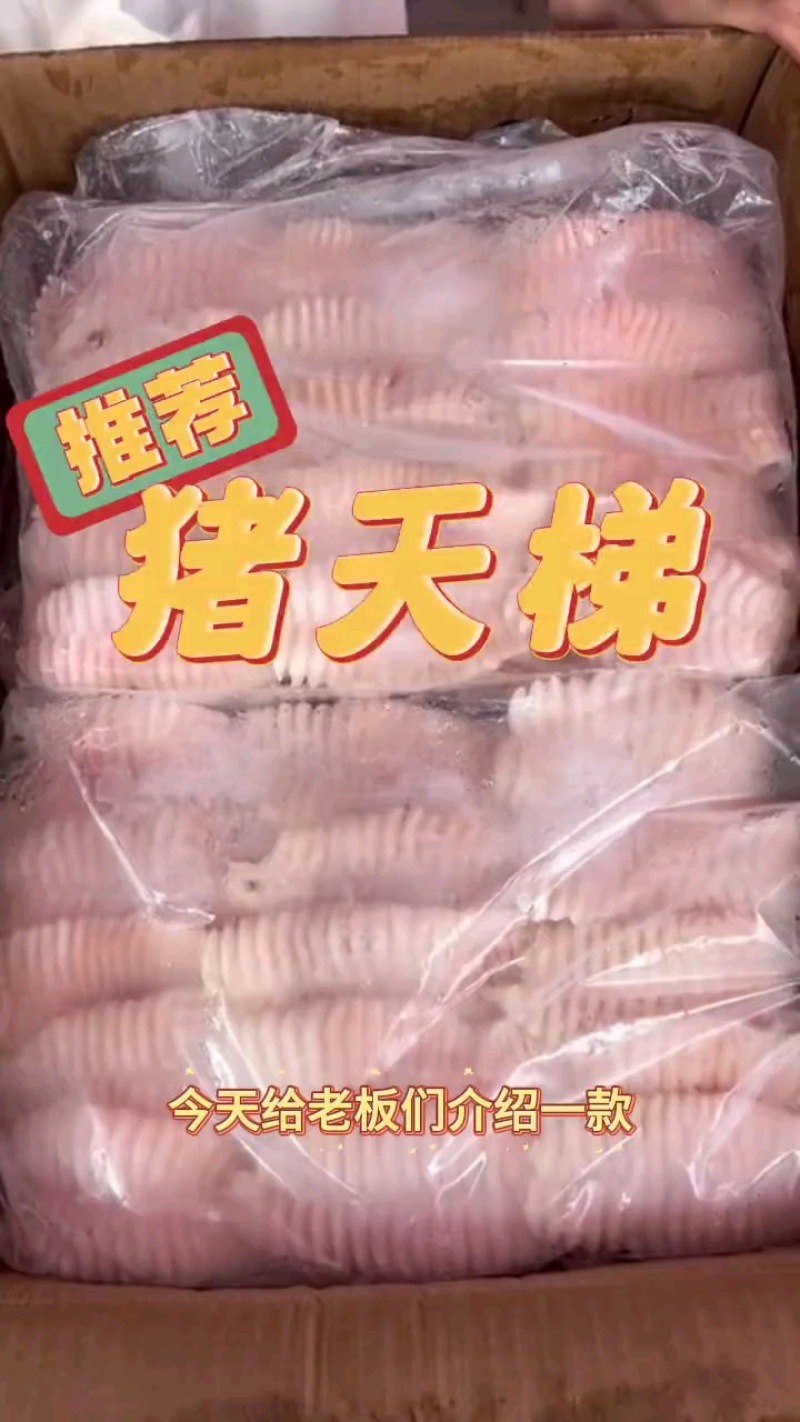 精修猪天梯，无冰四板装，适合中餐厅卤菜店