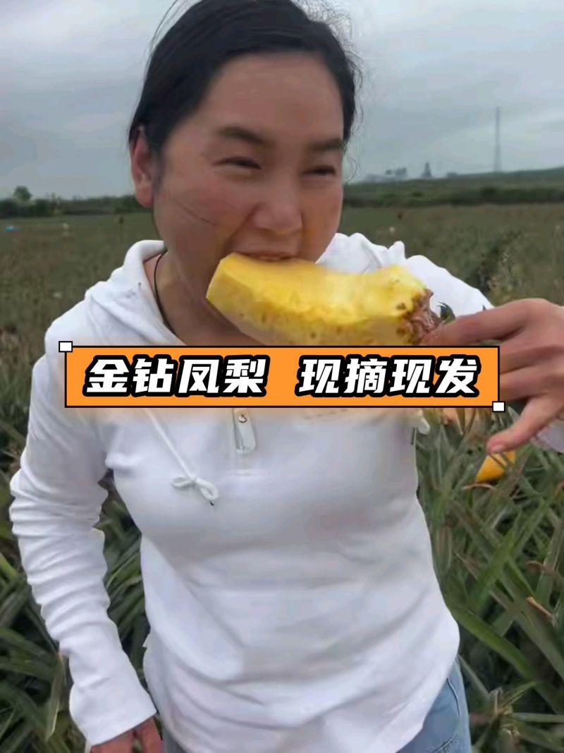 正宗海南金钻凤梨对接各平台电商支持一件代发团购