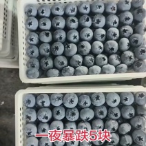串果，粒果花香25优瑞卡.L系列h5.博雾.产地直销