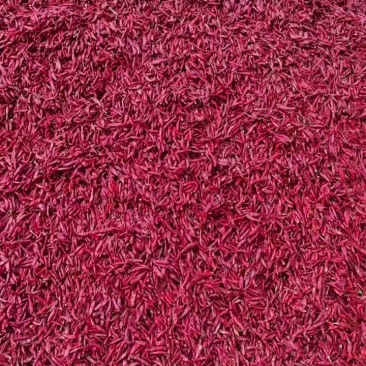 进口印度S17魔鬼辣椒及各种干辣椒品种规格齐全量大从优