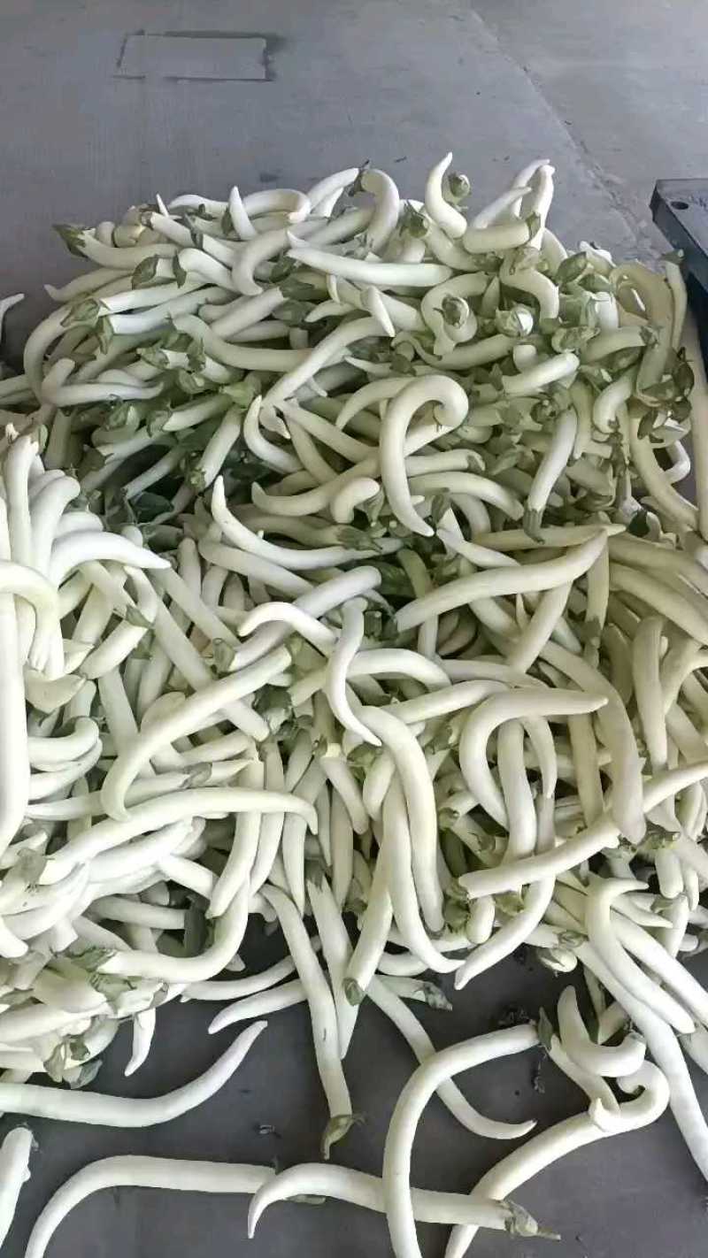 白长茄子新鲜细小，正在打包中。