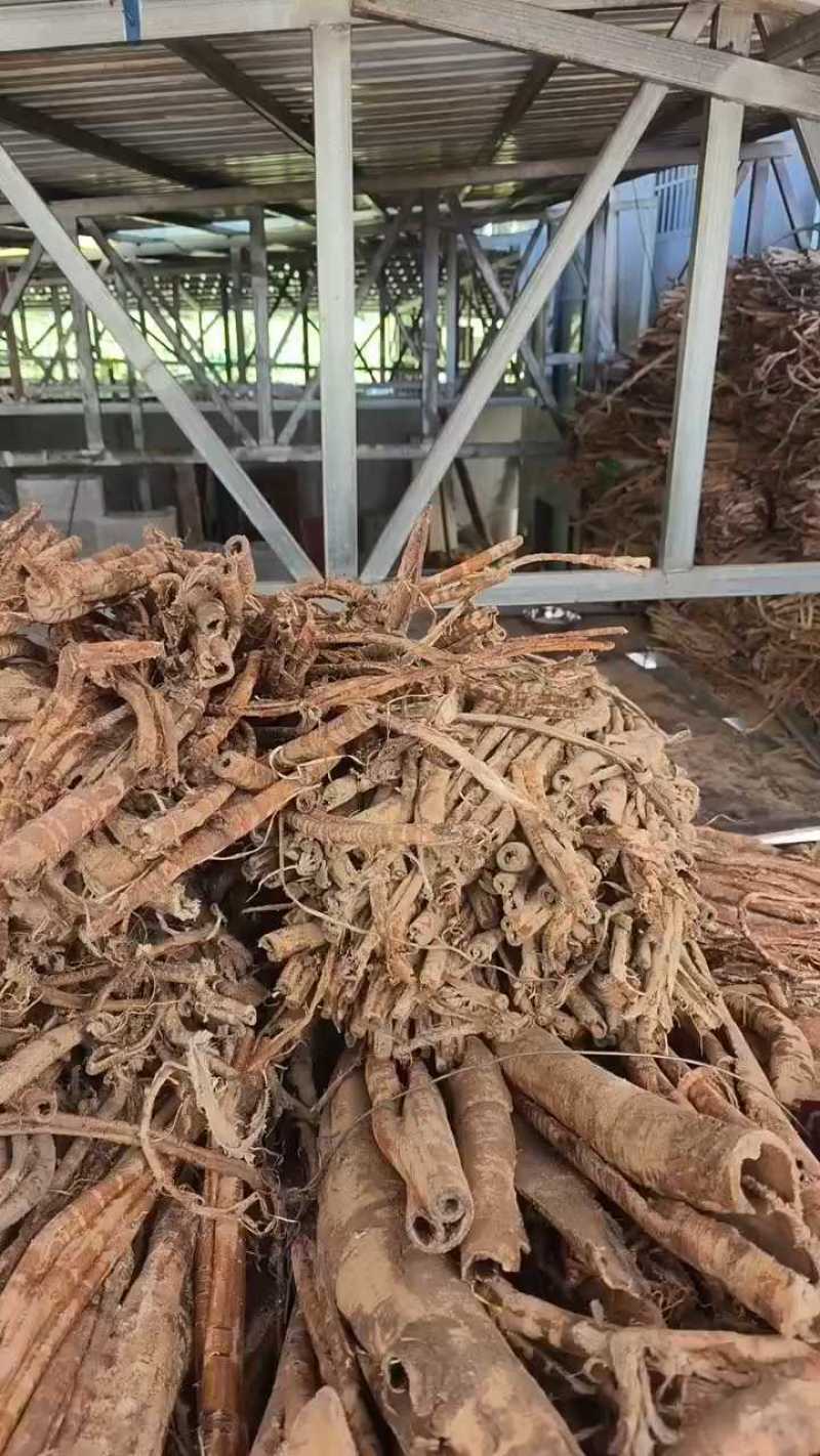 湖北恩施市咸丰县的白桑皮，全干无毒霉，需要的新老客订购