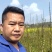 贵州六马蜂糖李苗正宗蜂糖李苗，原产地蜂糖李苗