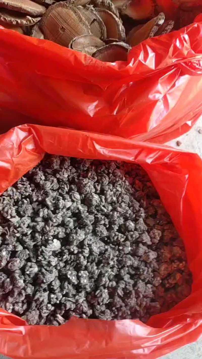 猫爪草批发信阳产地一手货源尖爪干净无硫水洗3遍