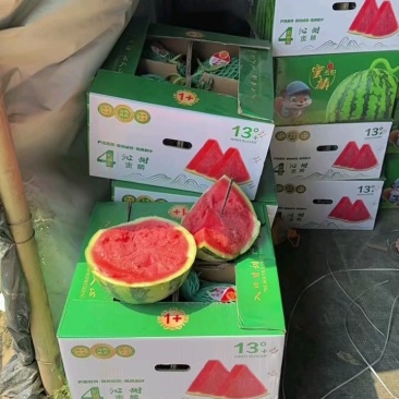 云南省盈江县麒麟美都，无籽