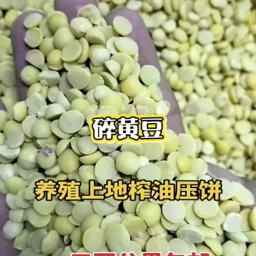 养殖饲料碎大豆上地肥料都可用