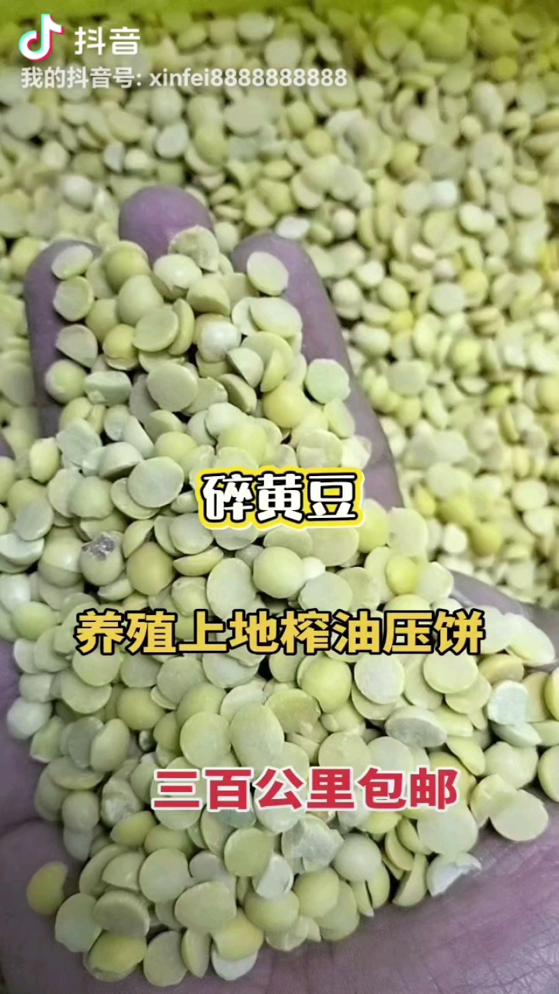 养殖饲料碎大豆上地肥料都可用