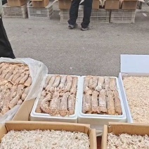 拼单电商跑江湖渤海特产优质虾皮海米虾干虾海鲜干货