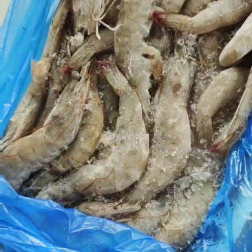 南美4050板冻大虾，比烟盒还大，志高品牌