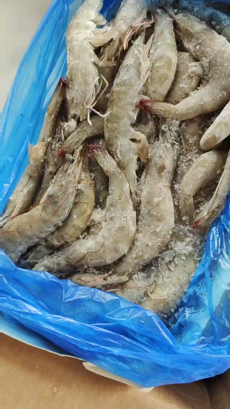 南美4050板冻大虾，比烟盒还大，志高品牌