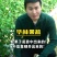 拱棚普罗旺斯大量上市