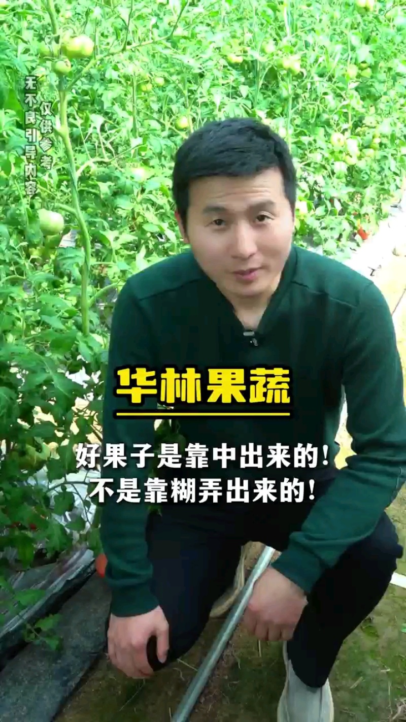 拱棚普罗旺斯大量上市