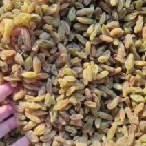 新疆葡萄干，大小均匀颗粒饱满规格齐全质优价廉