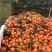脐橙纽荷尔圆红品质保证产地直发可视频看货欢迎咨询