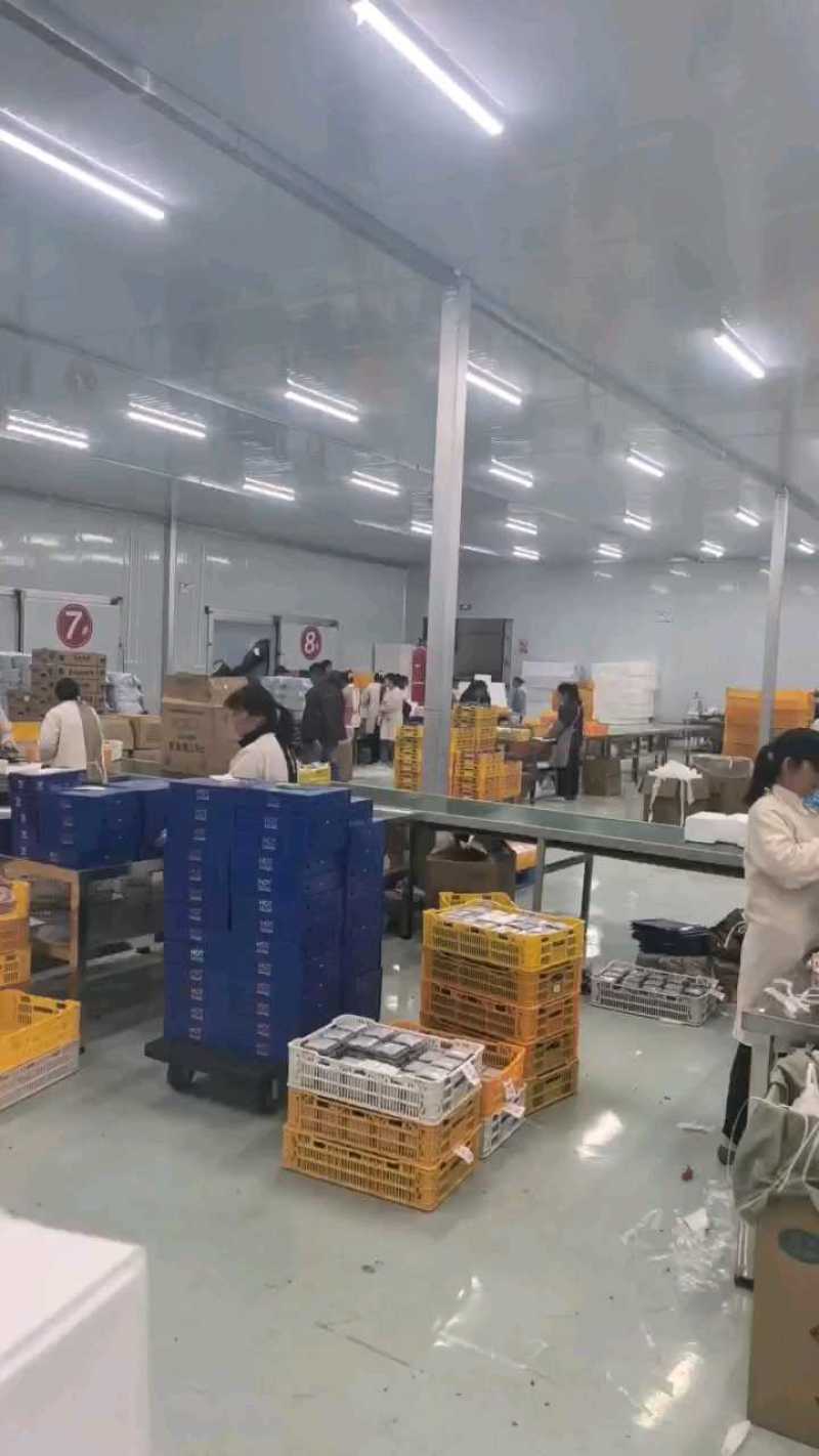 蓝莓云南蓝莓产地直发保质保量供应全国货源充足