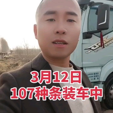107杨树种条鲁林9号杨树种条扦插条扦插段扦插苗