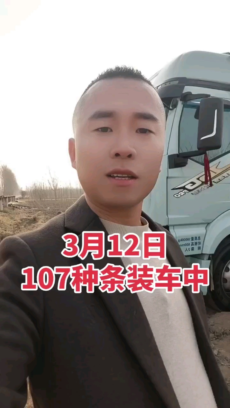107杨树种条鲁林9号杨树种条扦插条扦插段扦插苗
