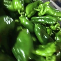 散装泡椒，大量到货！