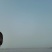 蚌埠，五河。浍河，河蚌