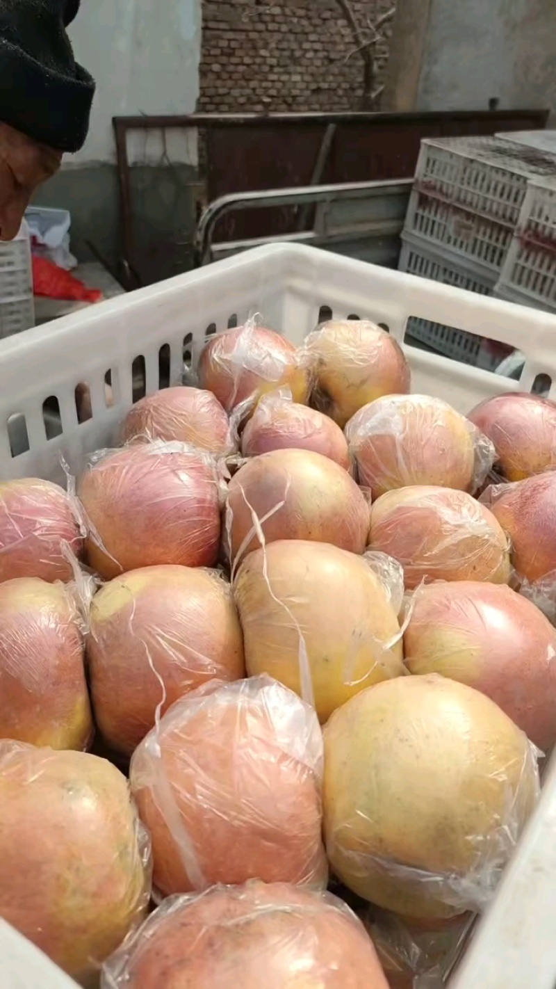 精品红富士苹果，脆甜黄瓤，全国代发。