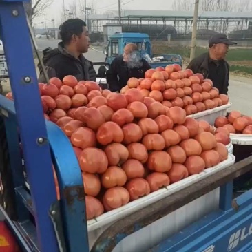 串果