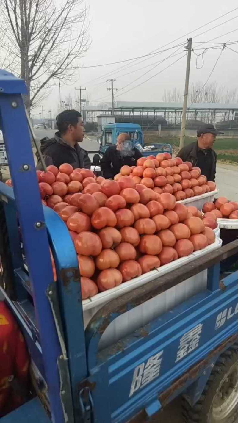 串果