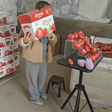 【一件代发电商】陕西泾阳普罗旺斯西红柿番茄各大平台