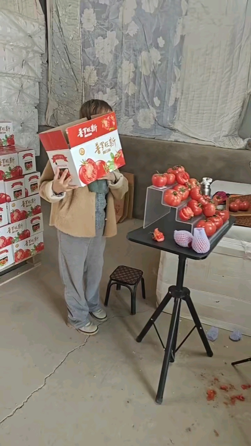 【一件代发电商】陕西泾阳普罗旺斯西红柿番茄各大平台