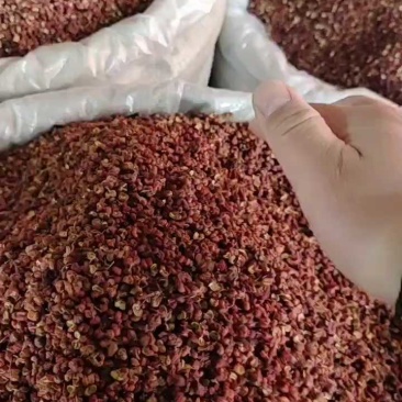 大红袍花椒精品货香麻可口味道好