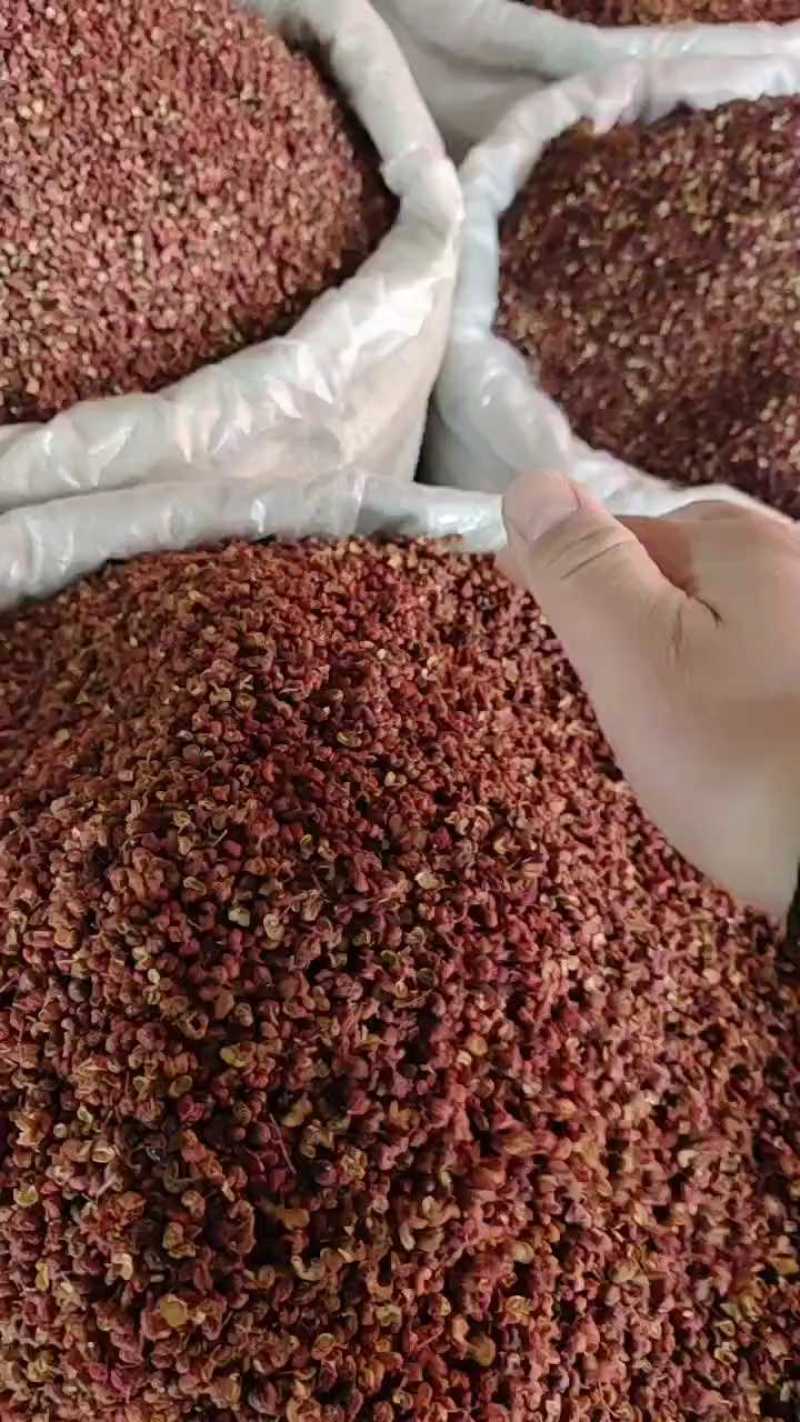 大红袍花椒精品货香麻可口味道好