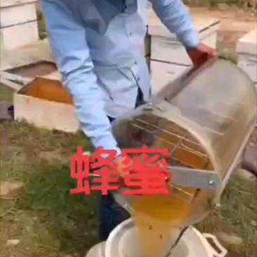 蜂蜜