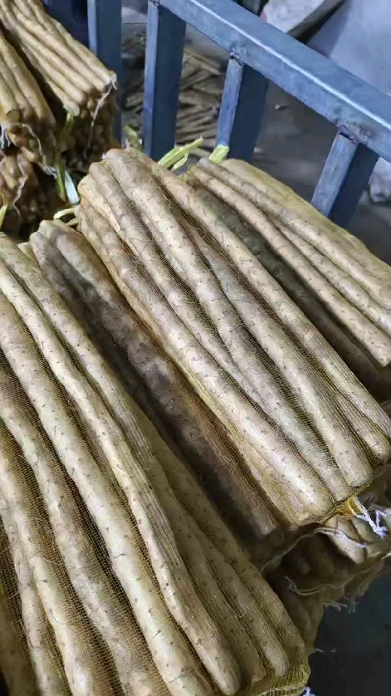网兜货品，条型好皮色佳，规格偏细。