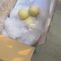 精品皇冠梨