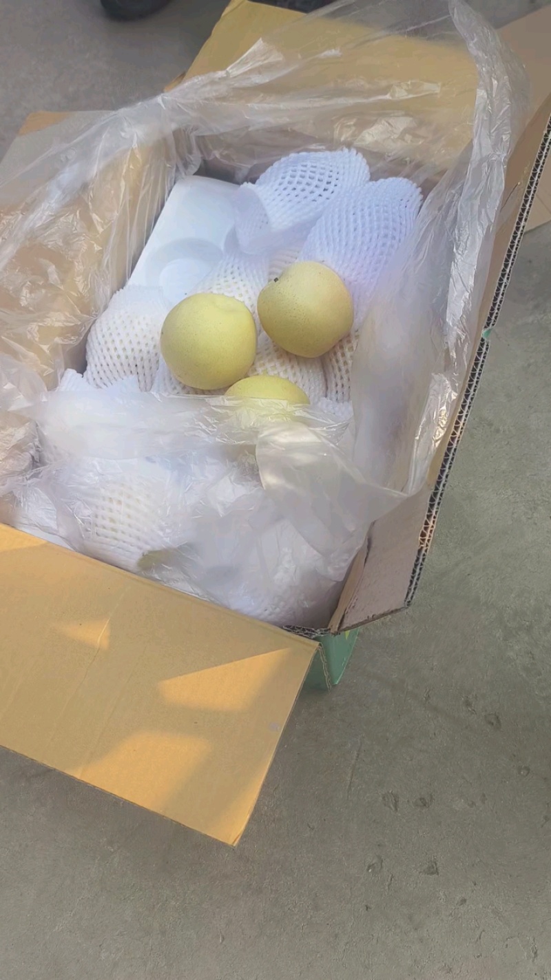 精品皇冠梨