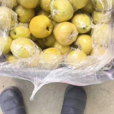 黄元帅，过手货，还有一千件