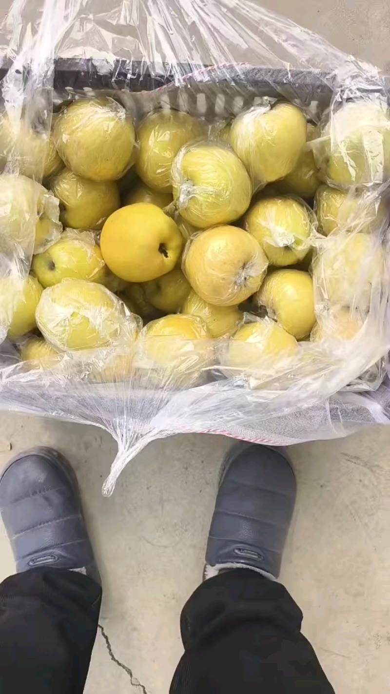 黄元帅，过手货，还有一千件