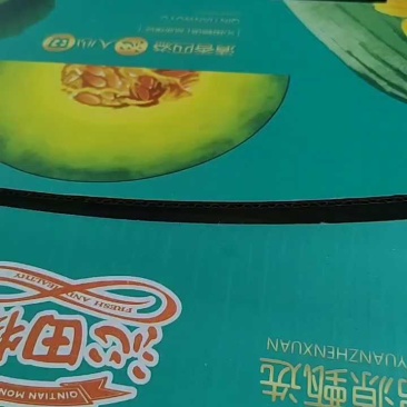 博洋72甜瓜蜜源18甜瓜各种系列甜瓜产地直供