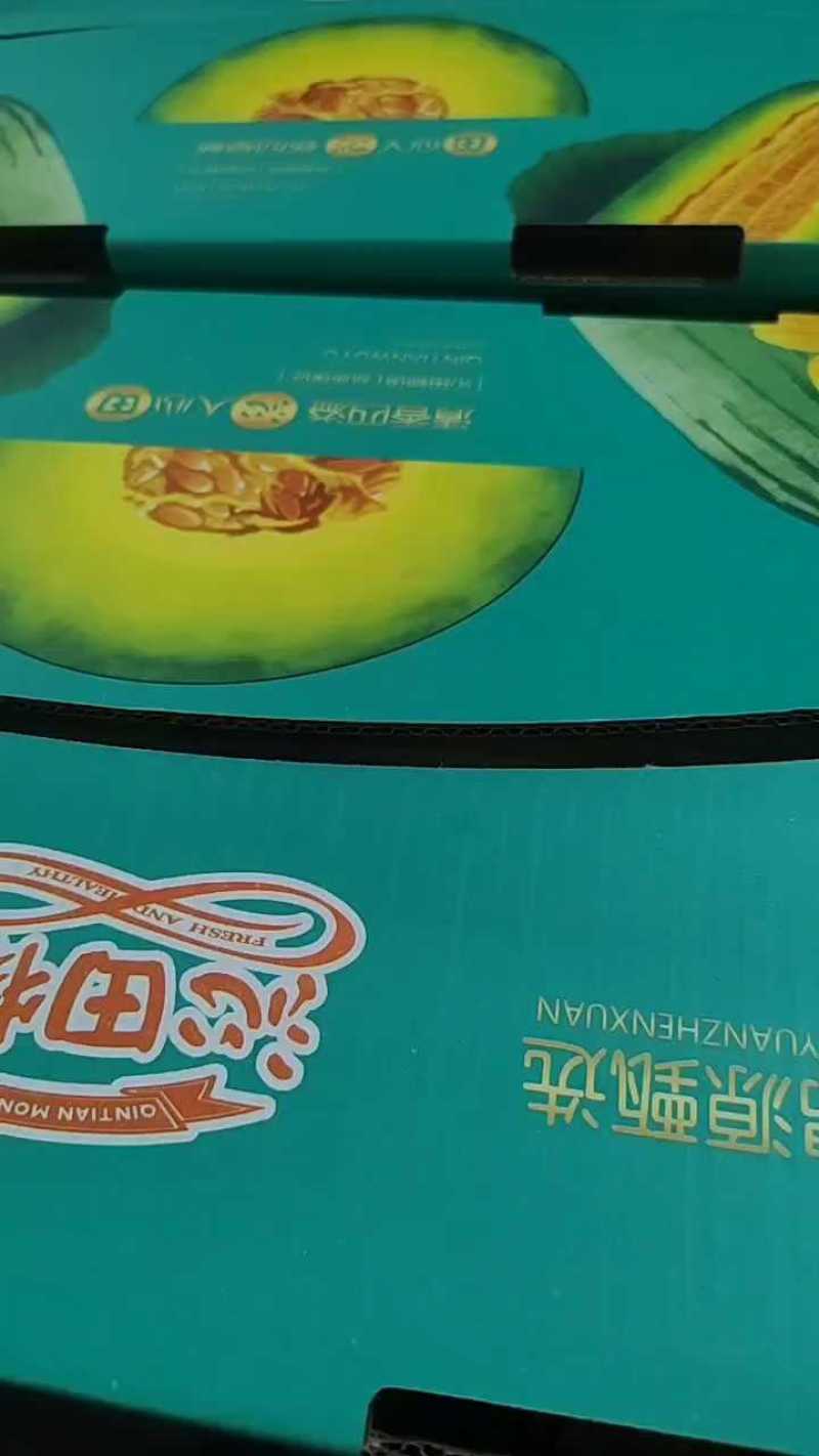 博洋72甜瓜蜜源18甜瓜各种系列甜瓜产地直供
