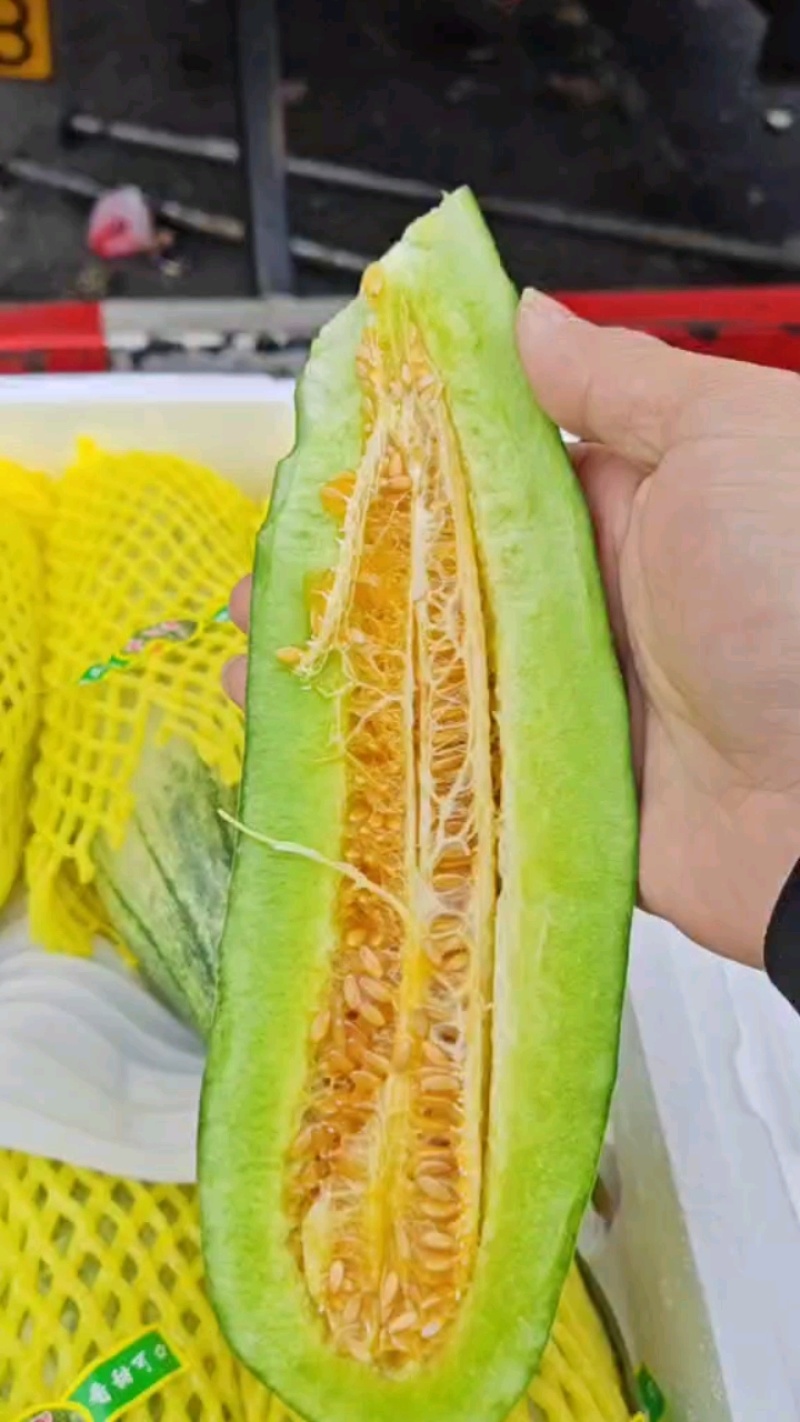 博洋六甜瓜，山东聊城莘县羊角蜜甜瓜，支持各种包装。