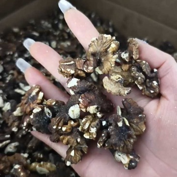云南核浅色桃仁，榨油核桃仁，手工剥壳，人工挑选。