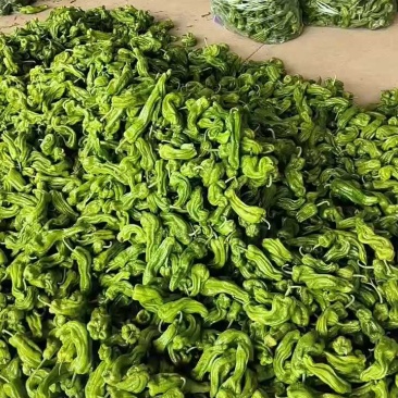 山东特产精品芜湖椒薄皮椒苏椒5号大量上市中颜色绿亮发全国